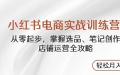 小红书电商实战训练营，从零起步，掌握选品、笔记创作、店铺运营全攻略，轻松月入过万